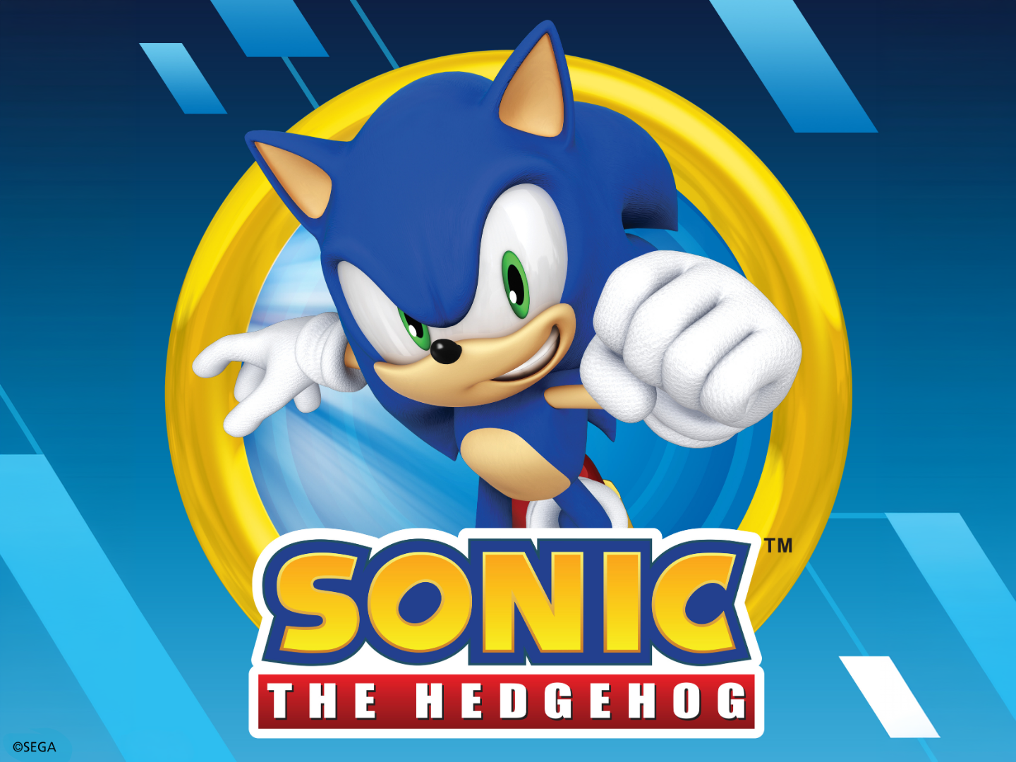 Sonic the hedgehog