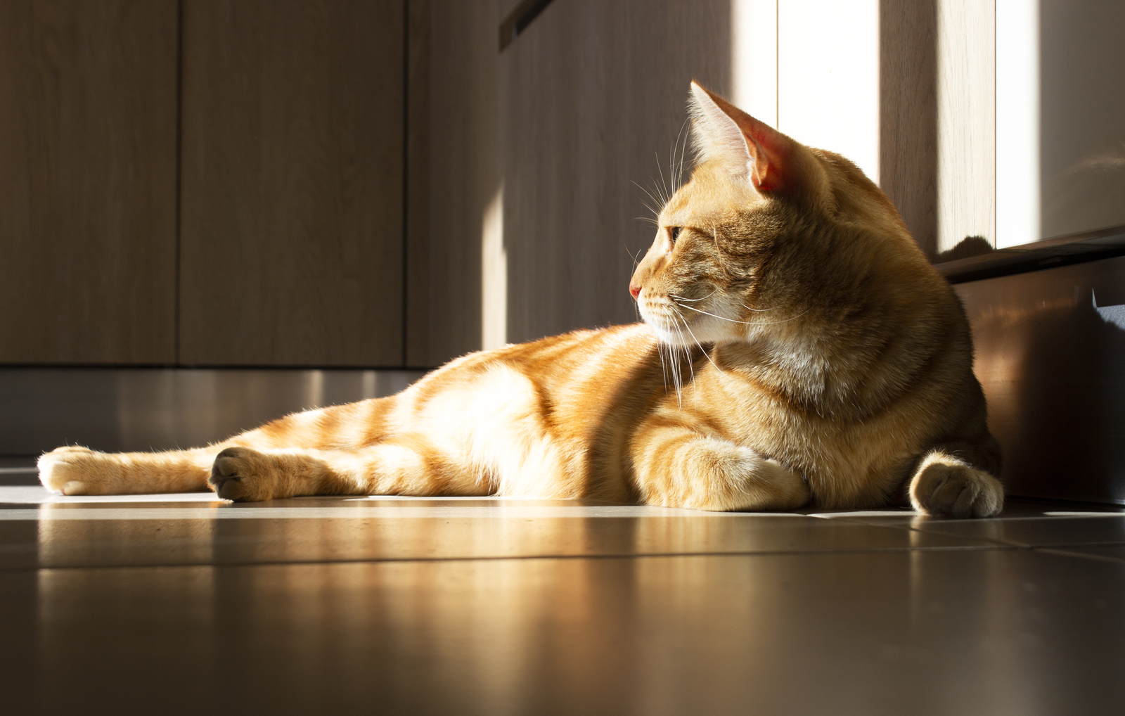 Stock Lifestyle Photography