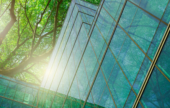 Upwards view of a glass building in front of a large tree