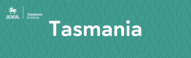 Tasmania banner - Med Mint.png