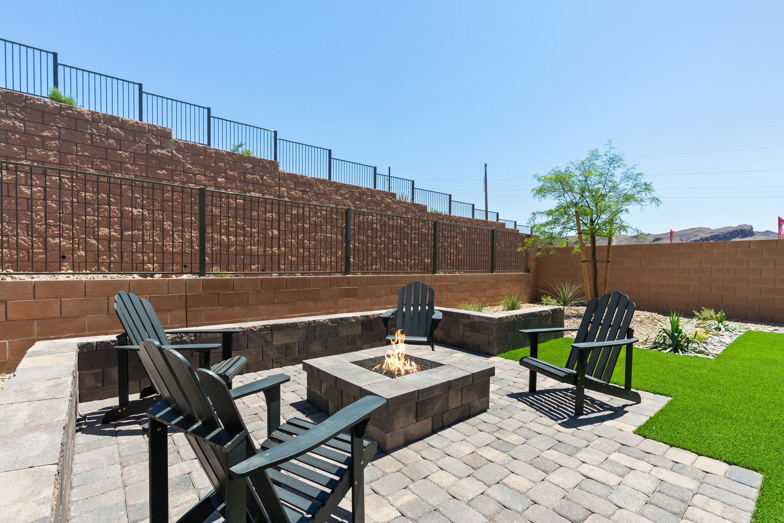 backyard.jpg