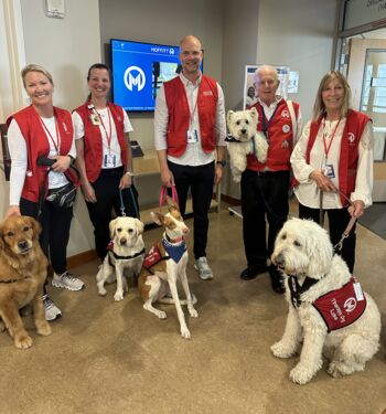 Volunteers at Moffitt