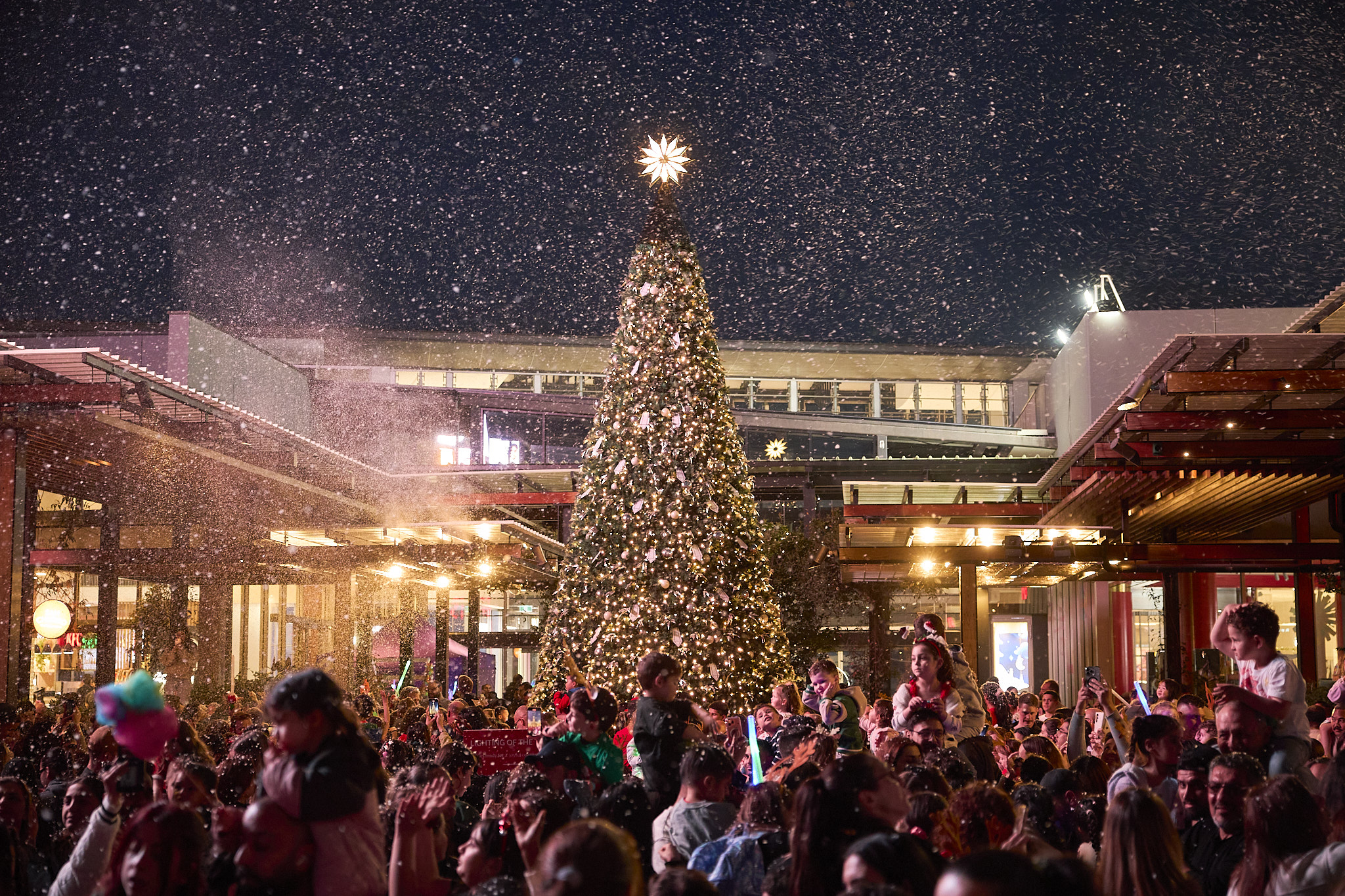 WTG TREE LIGHTING image 