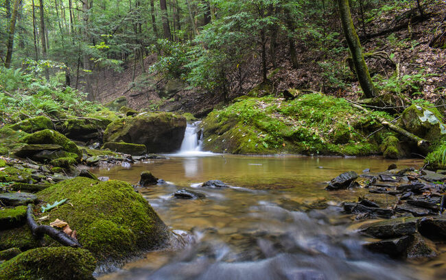 Waterfall in Pennsylvania forest