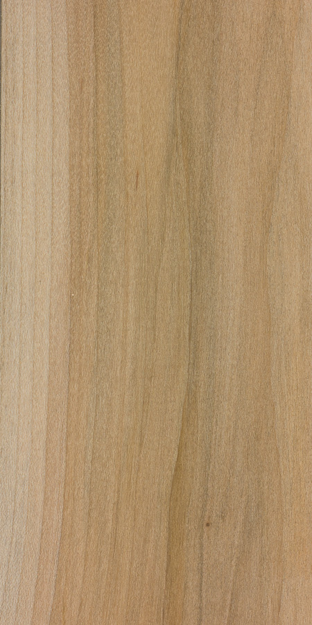 Wood_Species_Maple_Soft