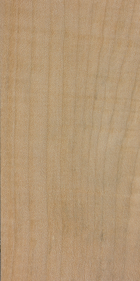 Wood_Species_Maple_Western
