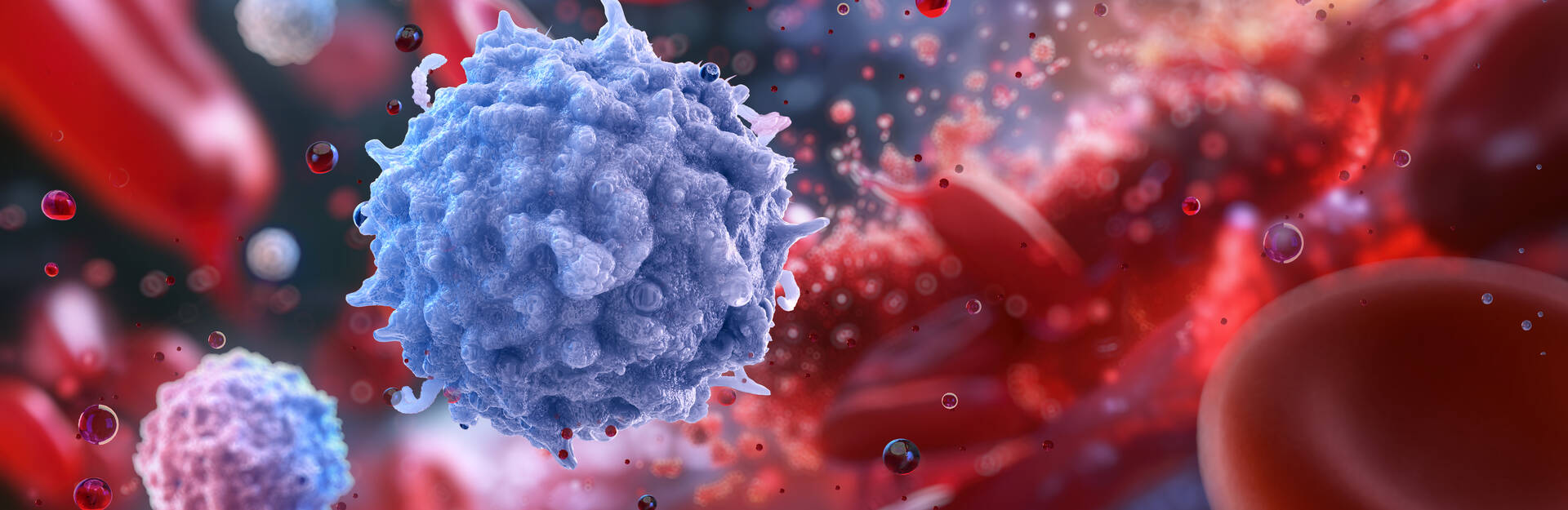 Lymphocytes, immune cells, white blood cells. Adaptive immune system, showcasing T-cells, B-cells, NK cells. Human lymphocytes combating infections. Medical 3D blood structure scientific illustration