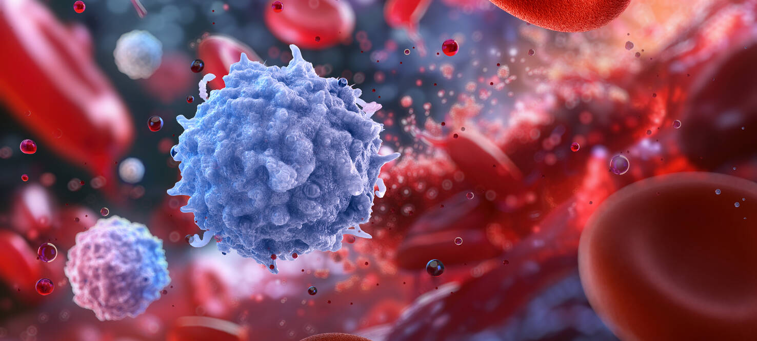 Lymphocytes, immune cells, white blood cells. Adaptive immune system, showcasing T-cells, B-cells, NK cells. Human lymphocytes combating infections. Medical 3D blood structure scientific illustration