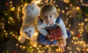 Deček sedi na tleh z ljubkim kužkom, obkrožajo pa ju novoletne lučke, pripravljene za božično okrasitev doma.