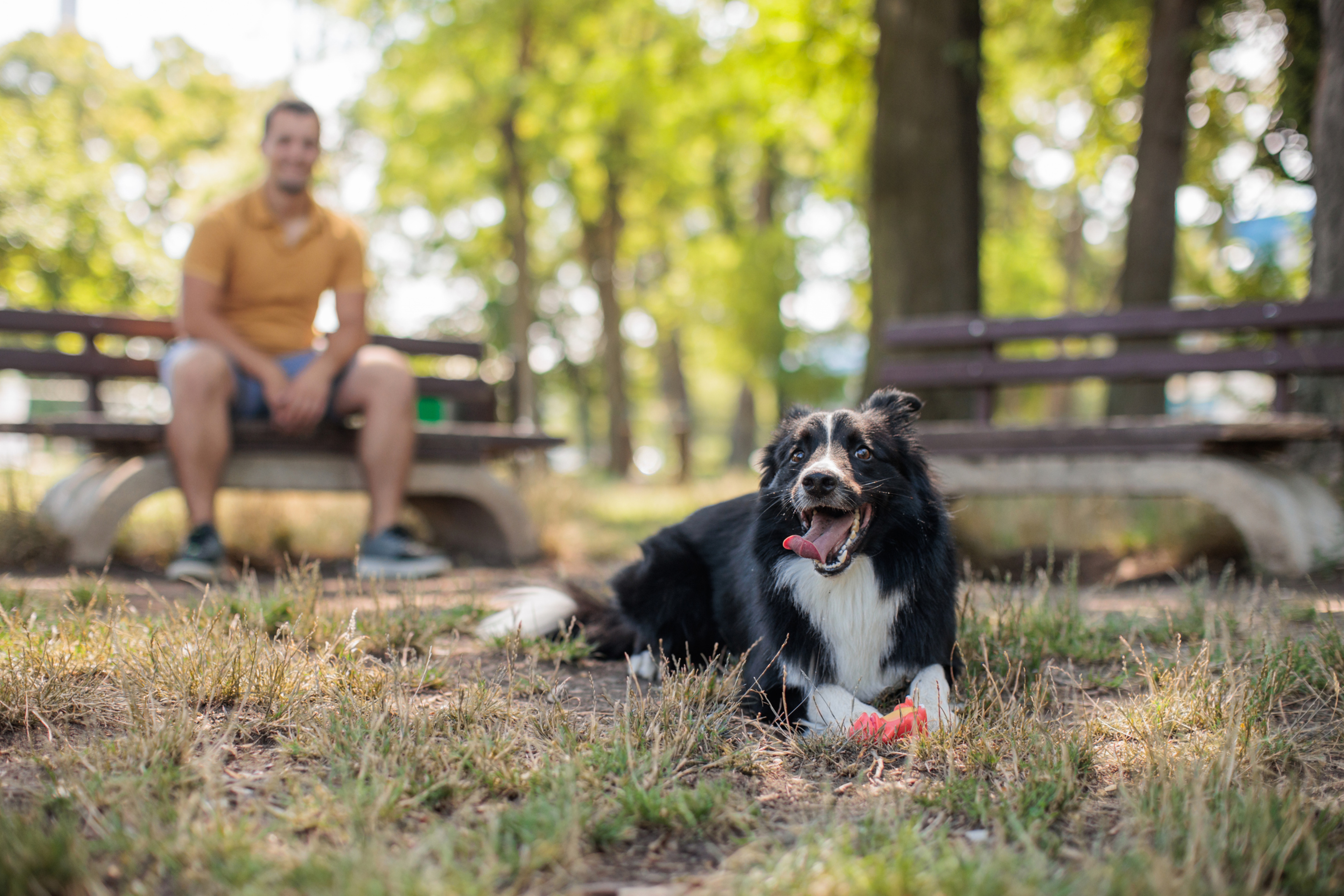 c706cf99-baa1-43d6-9ced-f1b55d7d7c6a