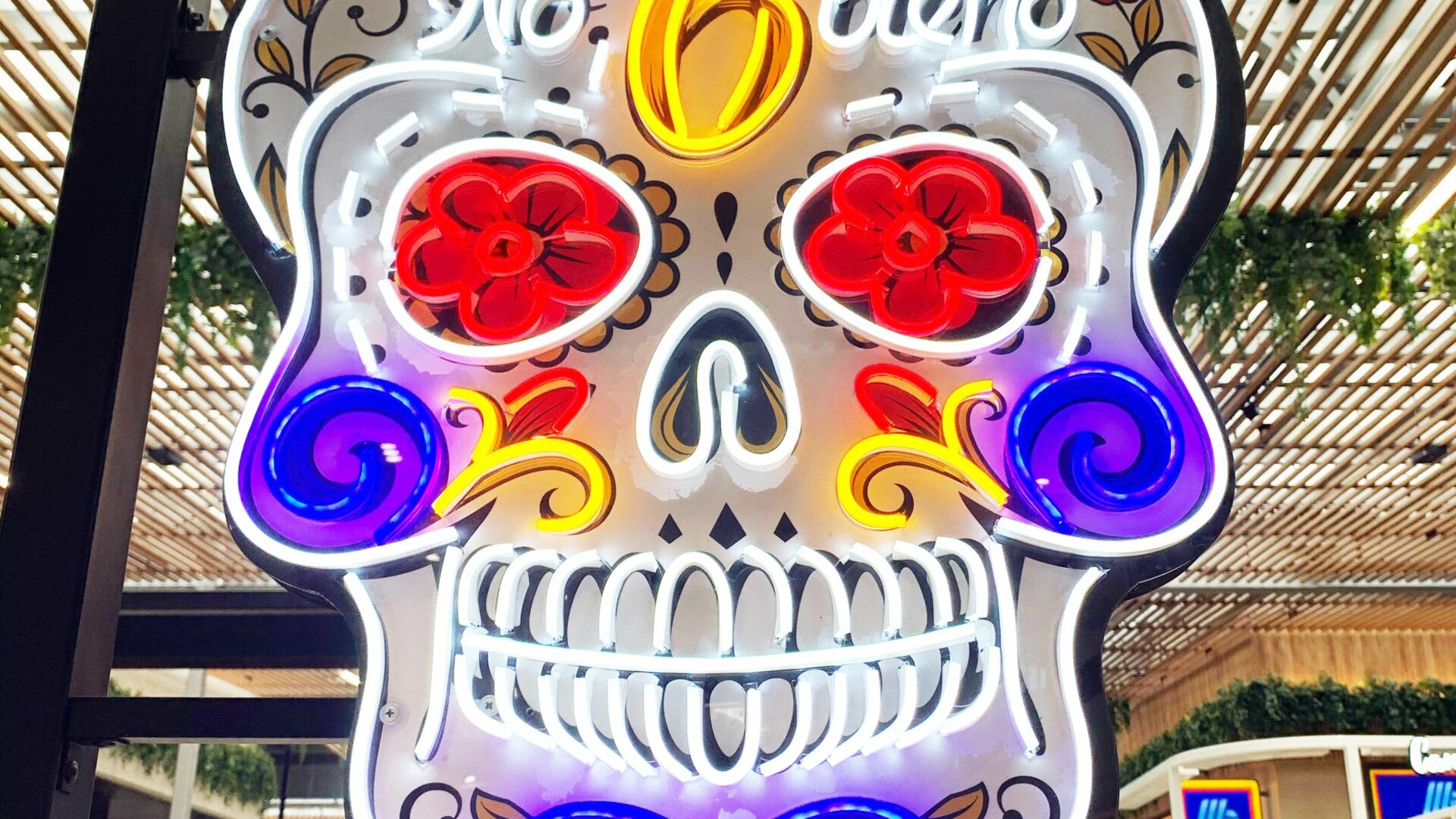 calavera cafe