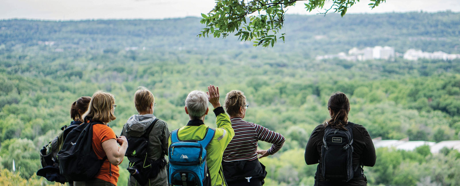 A collection of women hikers with backpacks stand together, looking at a sprawling green forest landscape from a high vantage point.