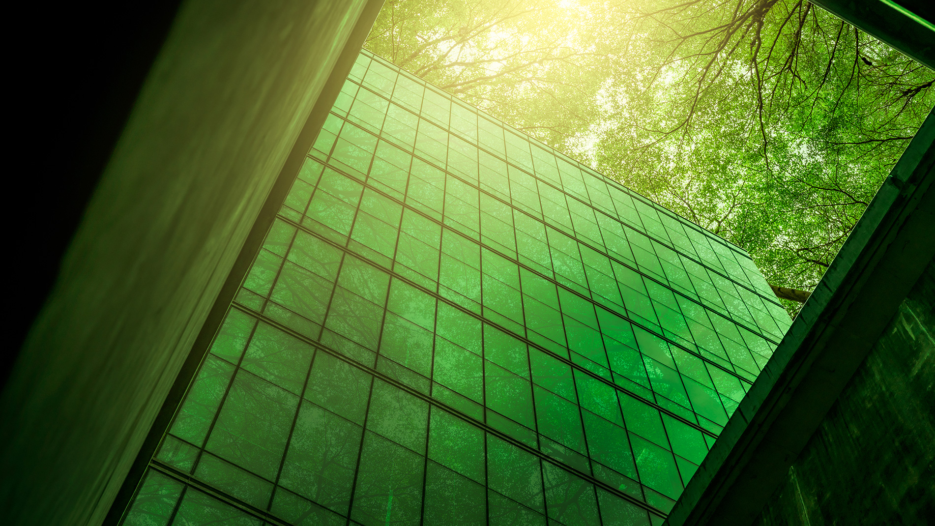 content-media-row_esg.jpg Office scene with trees
