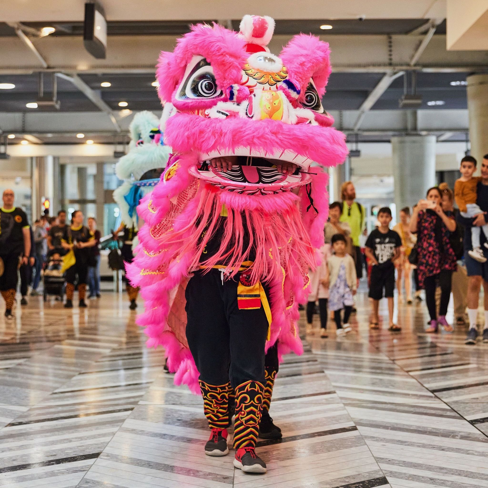 Lunar New Year dragon performance in the shopping centre