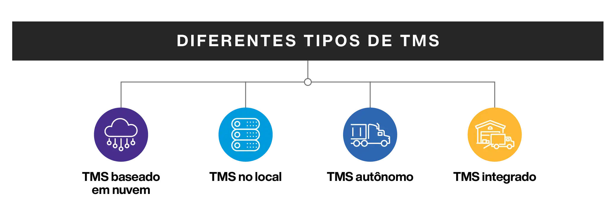Different Types of TMS