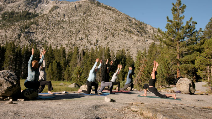 dig-lead-health-wellness