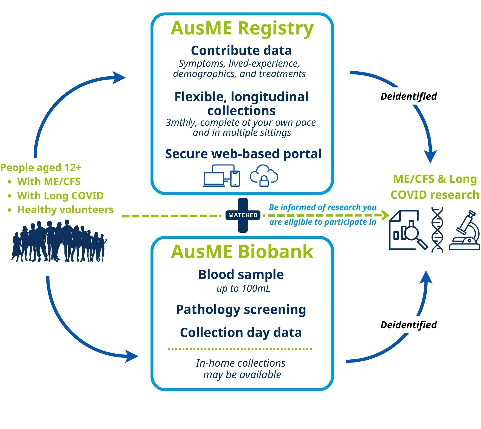 Infographic showing AusME Registry and AusME Biobank