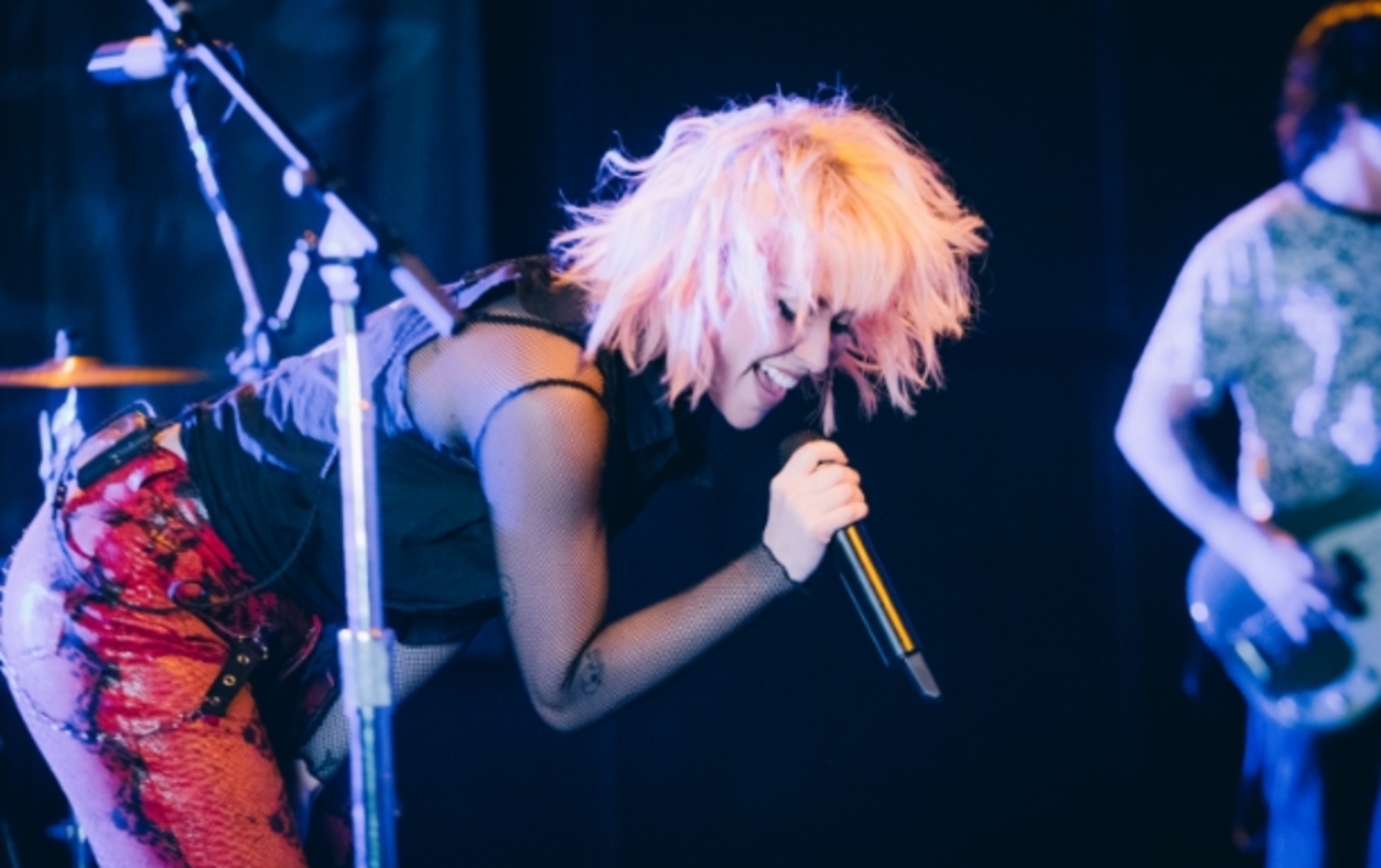 The Foxies Interview