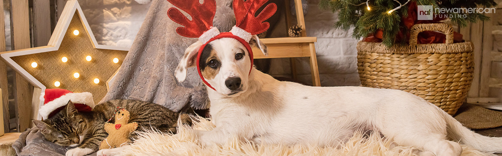 dog in reindeer costume