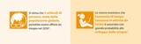 Grafica arancione HOYA MiYOSMART con testo in italiano