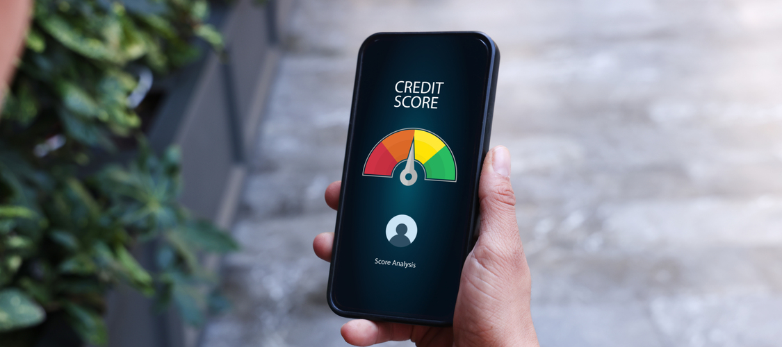 A person checking their credit score on their cell phone.