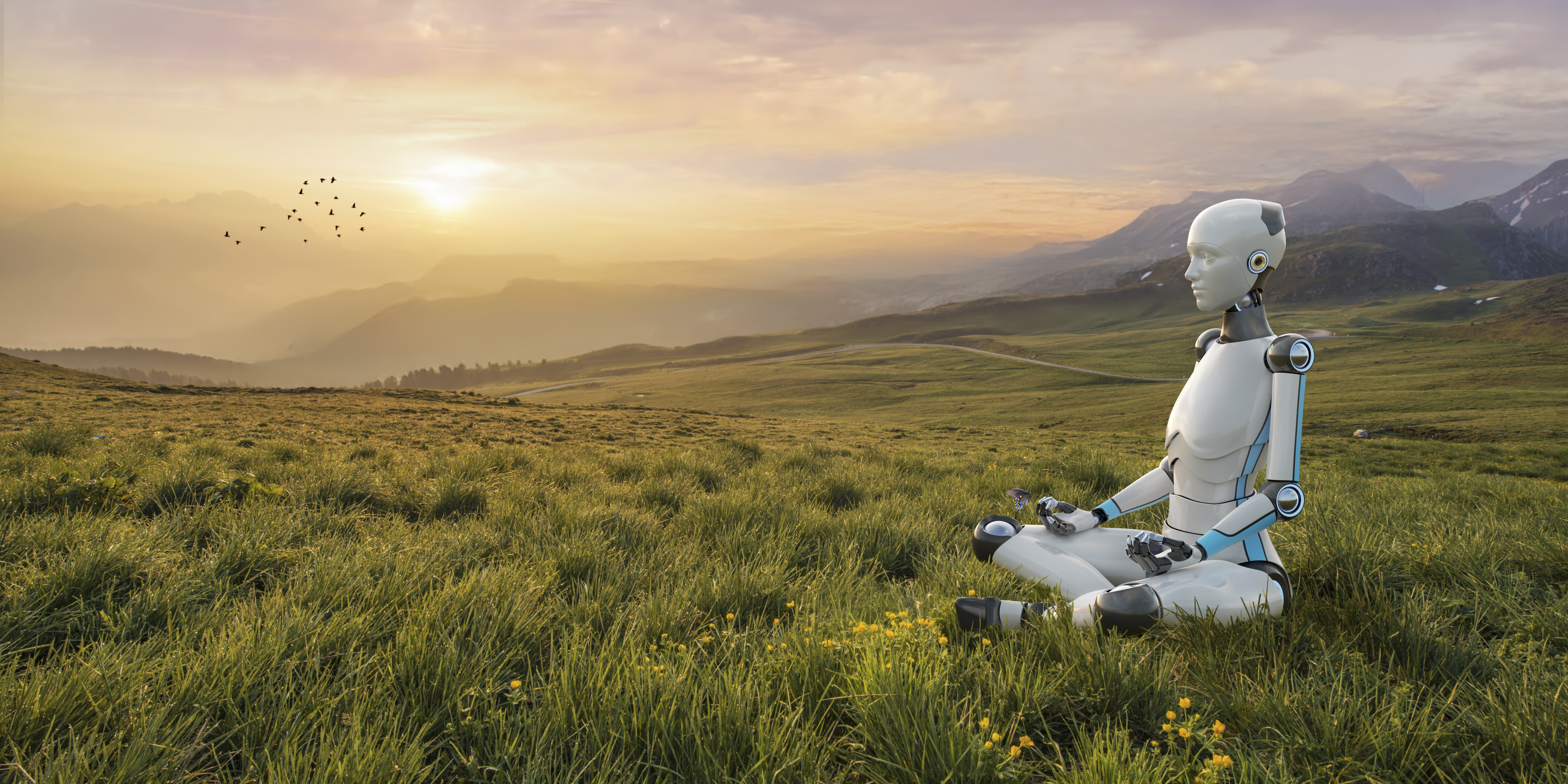 Humanoid looking robot sitting in yoga pose, in a meadow with sunset in the background