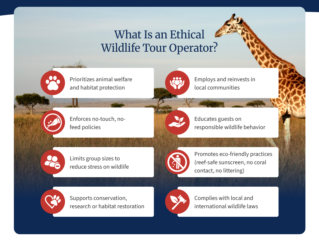 infographic on ethical wildlife tour operators