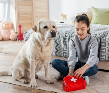 Deklica se s kužkom igra zdravnike in odpira komplet za prvo pomoč