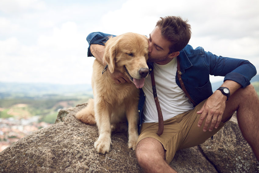Pes z lastnikom počiva na skali - simbolna slika za pohodništvo s psom