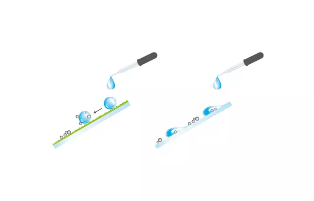 Hydrophobic Coating