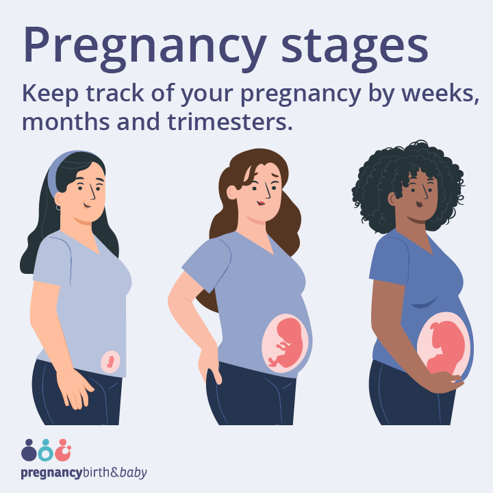 pbb-pregnancy-stages_promo-tile-ad4a72.png