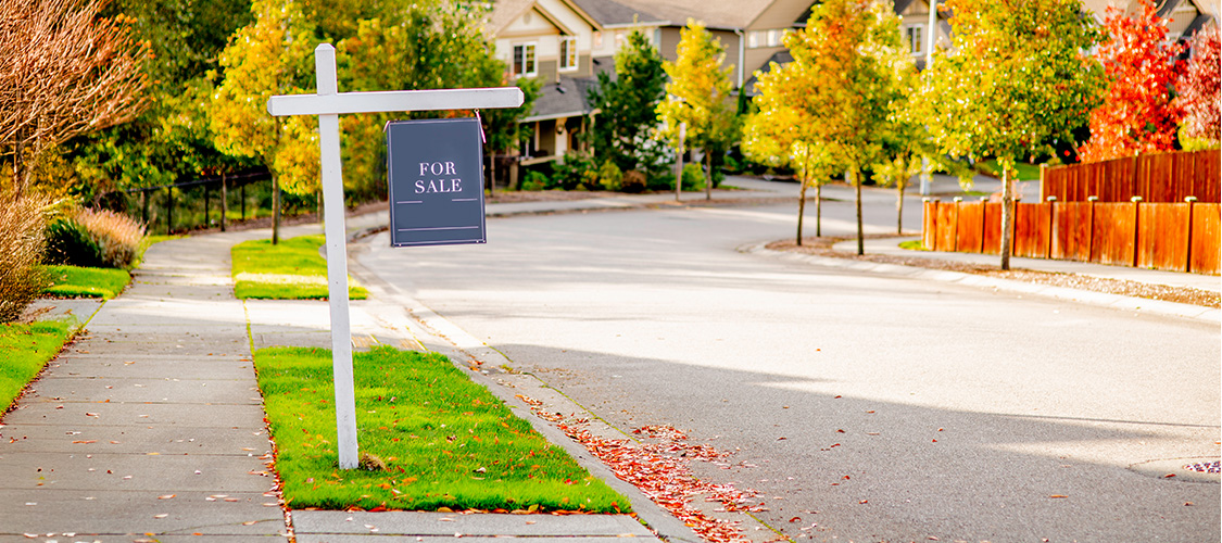 For sale sign in front of Autumn trees