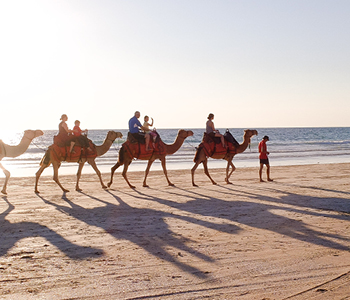 Simbolna fotografija turistične odprave na kamelah na obali v Tuniziji.