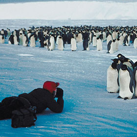 Antarctica Ocean Cruises