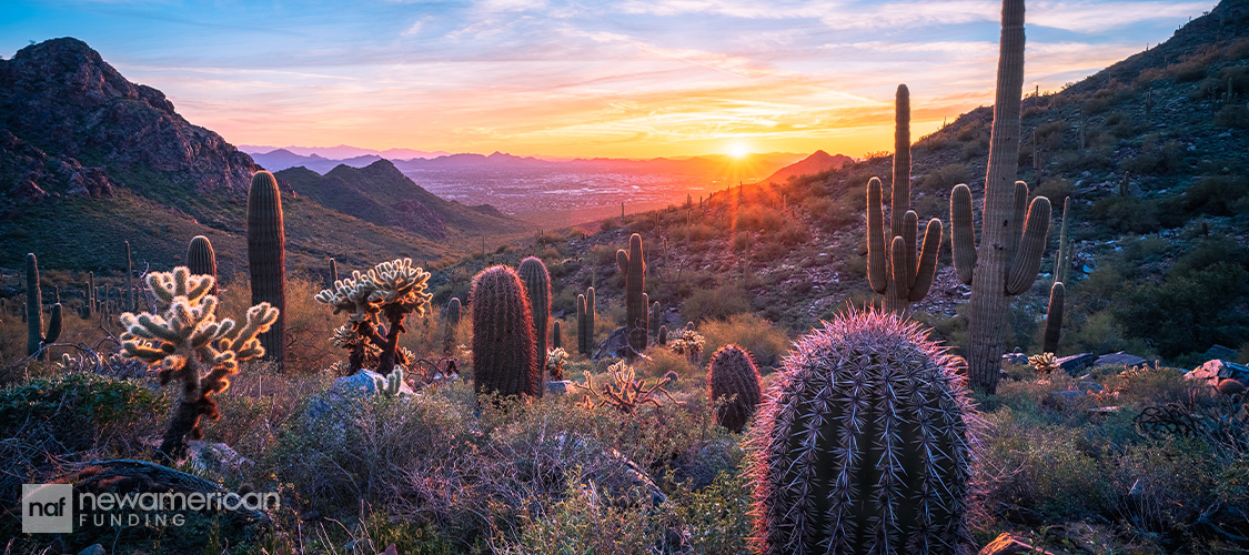 A picture of Arizona desert
