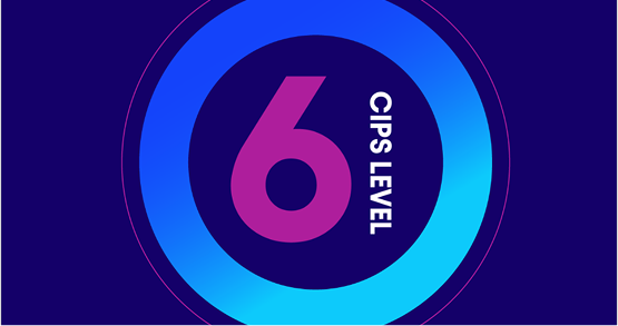 A large magenta number 6 centered within a blue-to-pink-to-purple gradient ring on a dark blue background, with the text CIPS LEVEL written vertically along the right side.