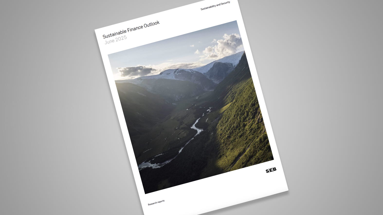 Sustainable Finance Outlook