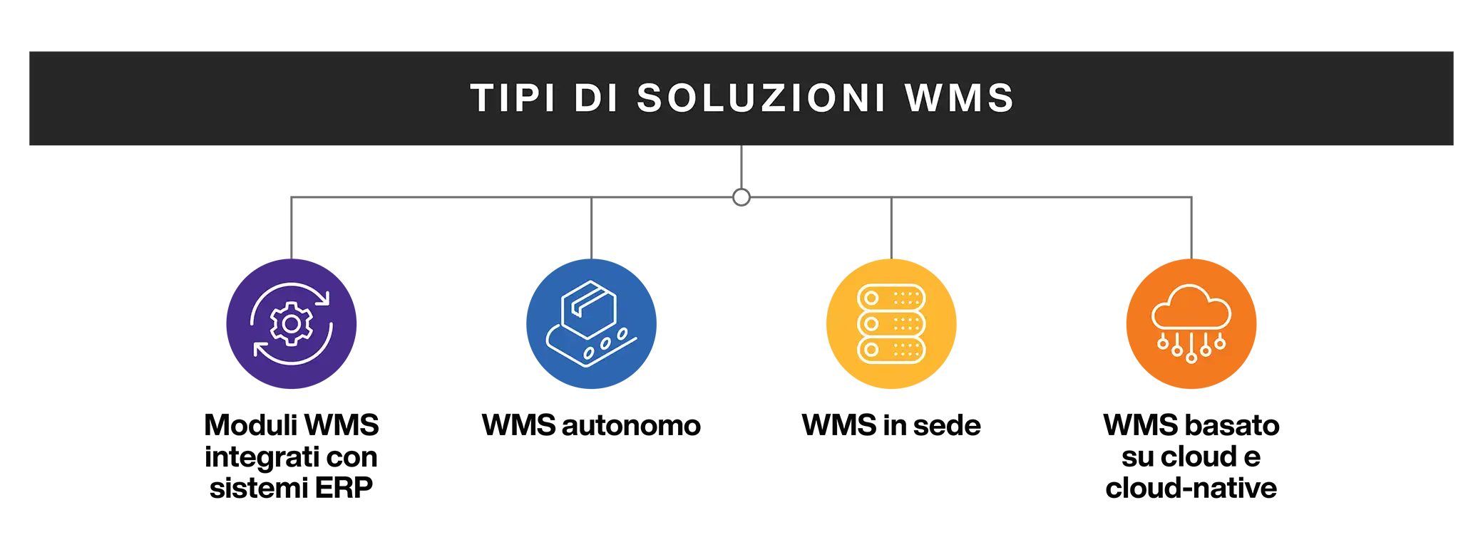 Types of WMS Systems