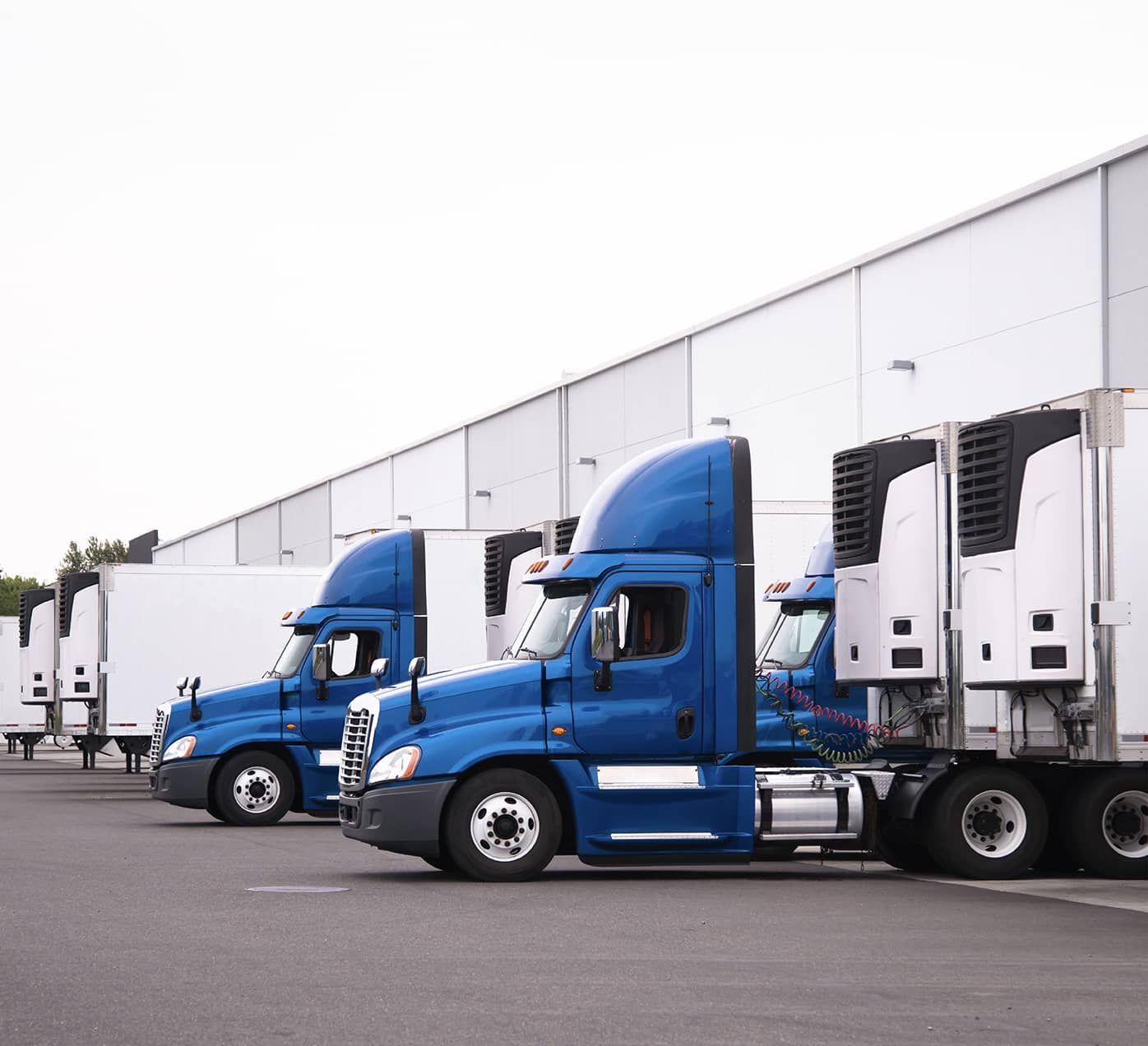 Trucks in warehouse yard