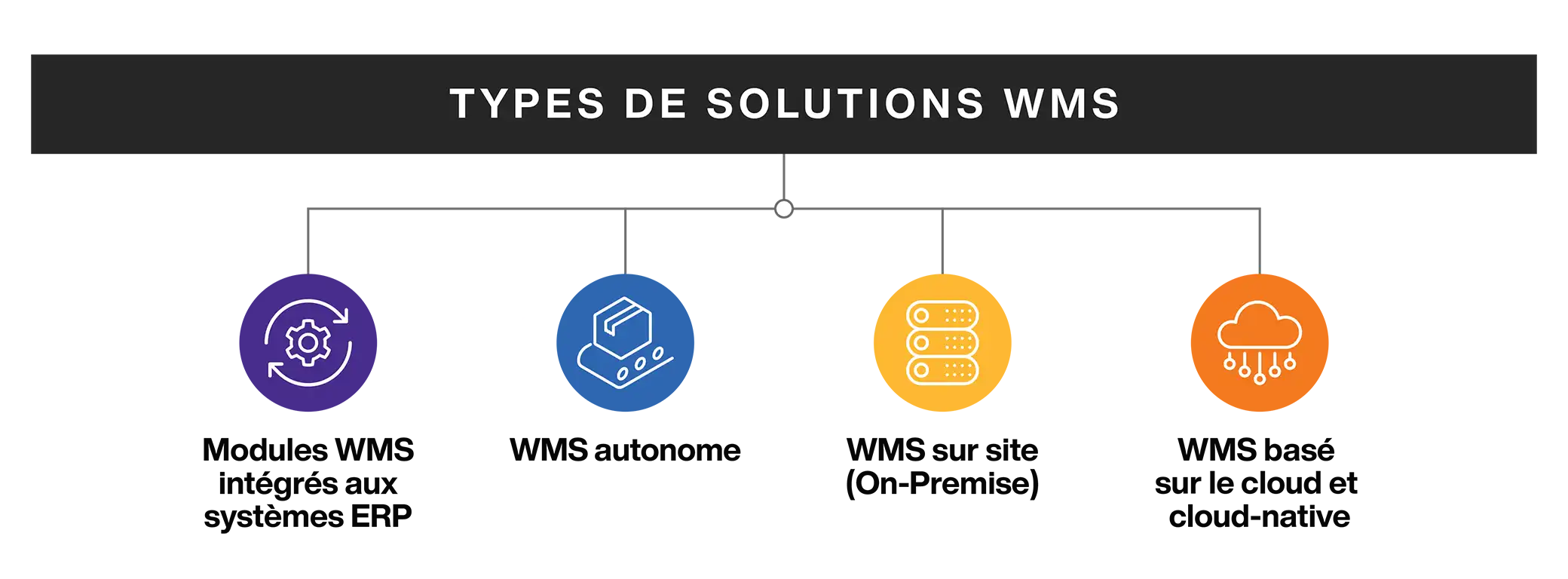Types of WMS Systems