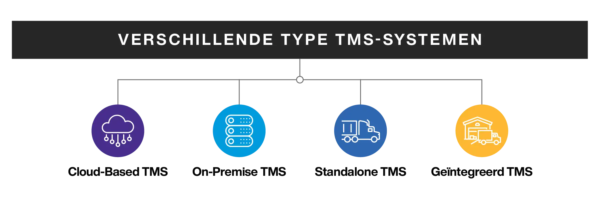 Different Types of TMS