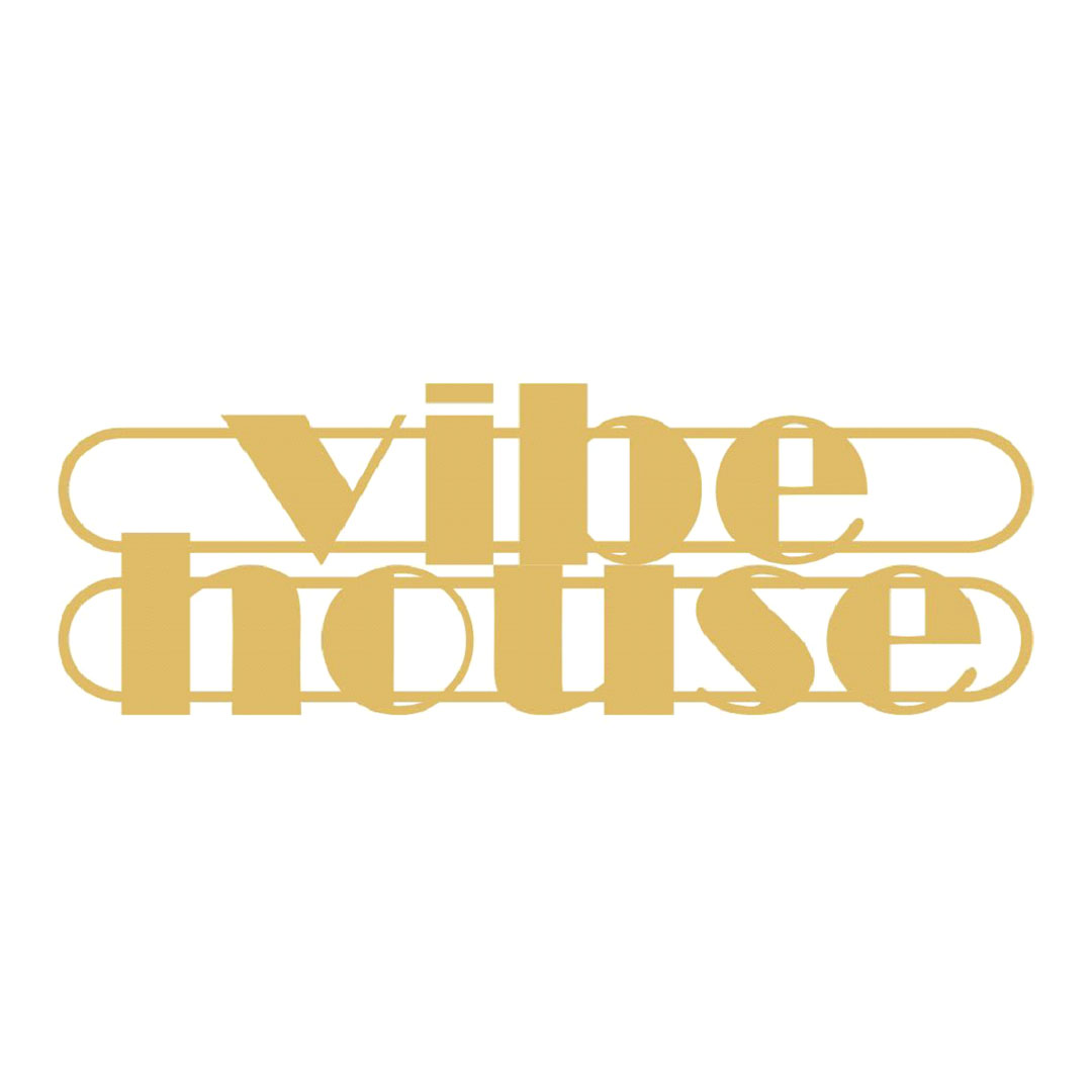 vibe house logo and lifestyle assets