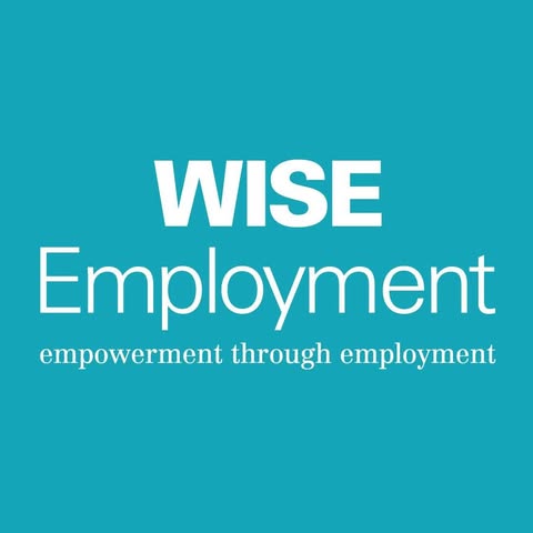 Wise employment logo