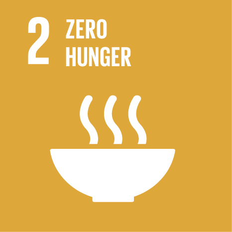 Icon of a bowl with food, text 'zero hunger'