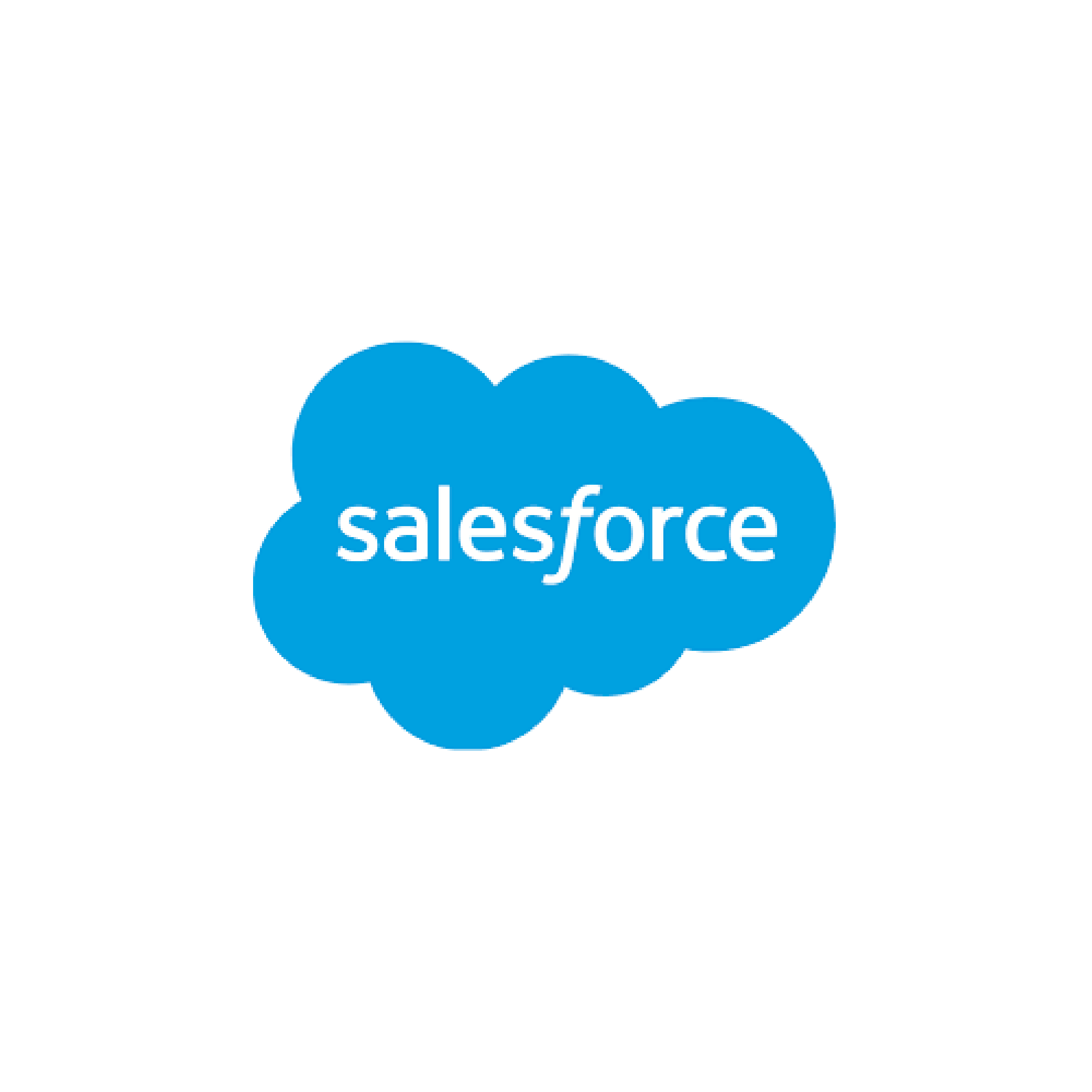 Salesforce logo with white lowercase text inside a bright blue cloud shape